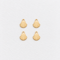 Clam Charm